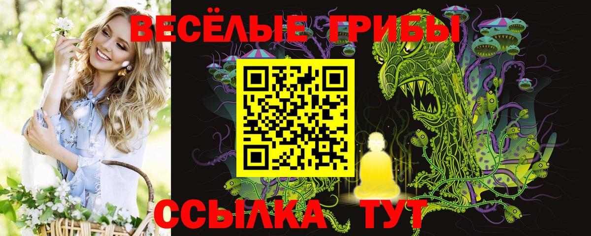 Псилоцибиновые грибы Psilocybine cubensis Майский