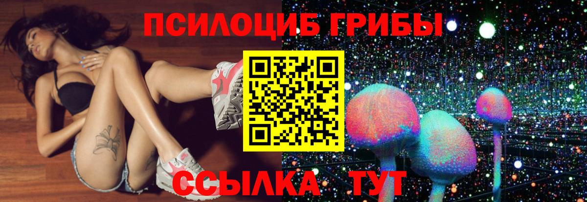 Майский  Псилоцибиновые грибы MAGIC MUSHROOMS  Вход с VPN 